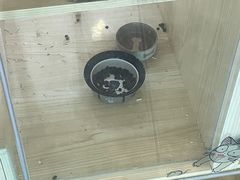 -爪爪喵星球·猫舍(前海卓越店)