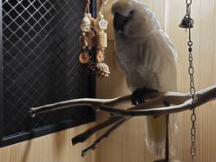 -雨林宠物医院 非犬猫异宠专科