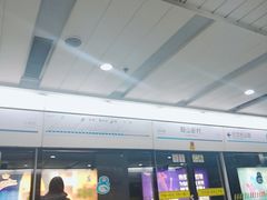 -鞍山新村(地铁站)