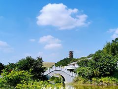 -中国沉香文化博物馆