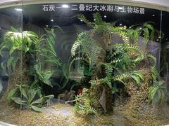 -中国第四纪冰川遗迹陈列馆