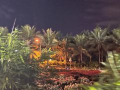 -白沙门生态公园