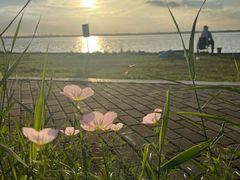 -阳澄湖半岛旅游度假区