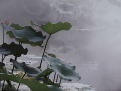 -厦门园林博览苑