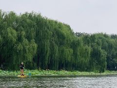 -WhaleSports户外水上运动俱乐部(朝阳公园店)