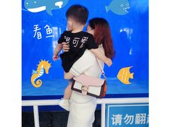 -泉城欧乐堡海洋极地世界