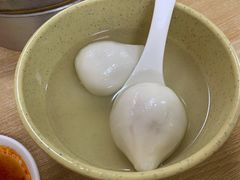 鲜肉汤圆-祥记汤圆(东宝兴路店)
