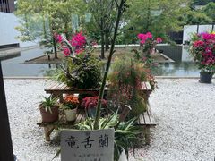 -南紀白浜 浜千鳥の湯 海舟