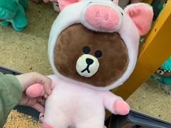 -line friends(明洞旗舰店)