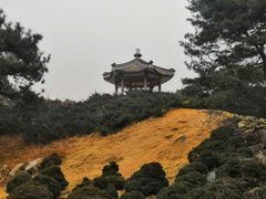 -国家植物园南园