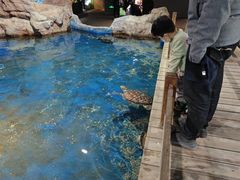 -邯郸海洋世界