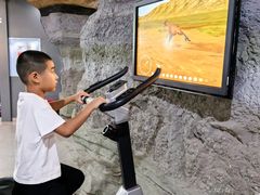 -嘉荫恐龙国家地质公园