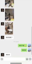 -YESIDO椰岛造型