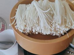 -龍歌自助小火锅(市南金茂湾店)