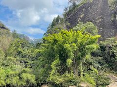 -九曲溪竹筏码头