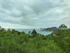 -广东惠东海龟国家级自然保护区