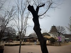 -景福宫