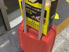 -炊烟小炒黄牛肉(东庆街店)