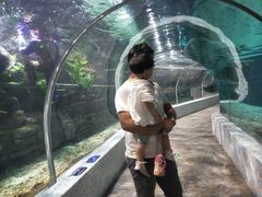 -绍兴梦享海洋公园