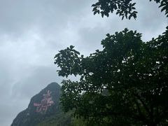 -长寿村