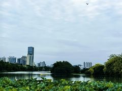 -南宁南湖公园