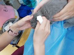 -芭比堂动物医院·犬猫全科·异宠专科(雁塔分院)
