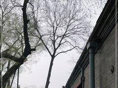 -恭王府博物馆