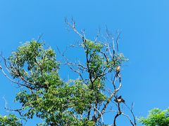 -九龙湾·御膳坊(九龙窠路店)