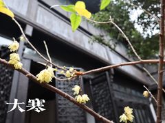 -黎里古镇