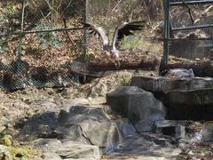 -宁波野生动物园