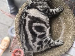 -花姨·老电影院果汁冰(开元店)