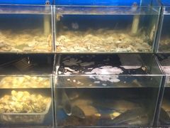 -日照大牌檔•小船海鲜(万平口店)
