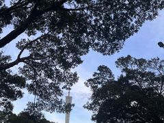 -广州塔