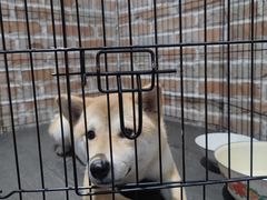 -呼吸沉浸式剧场(甘露园店)