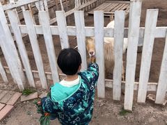 -前小桔亲子创意农场·草莓采摘·露营烧烤