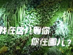 -奥斯卡升龙国际影城(RealD Cinema)