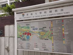 -香港大学