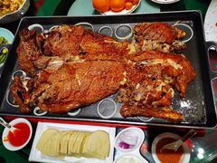 -九十九顶毡房(阜石路店)