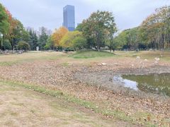 -后襄河公园