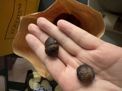 -小宝栗子(嘉华国际商业中心店)