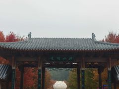 -横山寺