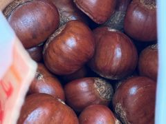 -小叶佳栗子(昌平店)