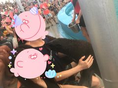 -尼莫海豚馆