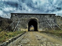 -黑河国家森林公园