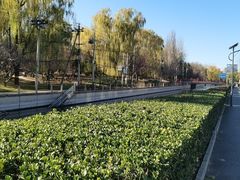 -元大都城垣遗址公园