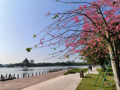 -顺峰山公园