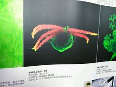 -刘鸿盛(罍街店)