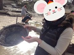 -疏芬山金矿