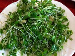 香椿苗-金悦印象小馆(三里河店)