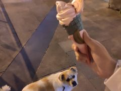 -易生活购物公园